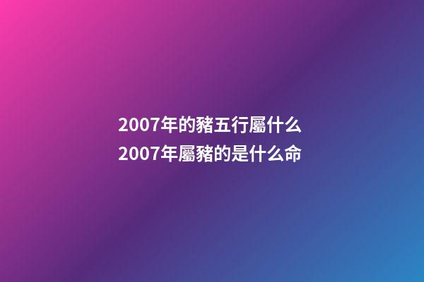 2007年的豬五行屬什么 2007年屬豬的是什么命-第1張-觀點-玄機派